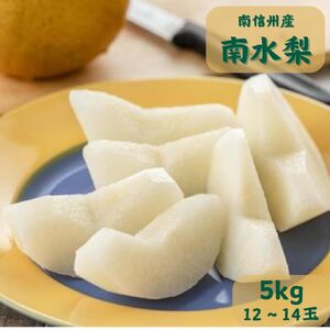 [南信州産]南水梨5kg 秀品 12〜14玉入り