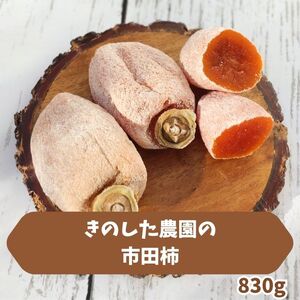 ̂_̎sc`830g2025N12{蔭