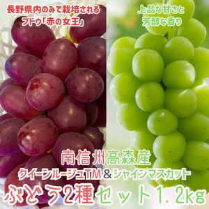 NC[[WTMVC}XJbgԂǂ2Zbg1.2kg2026N9{蔭