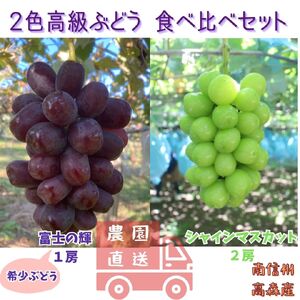 [数量限定]2色高級ぶどう(シャインマスカット、富士の輝)食べ比べセット