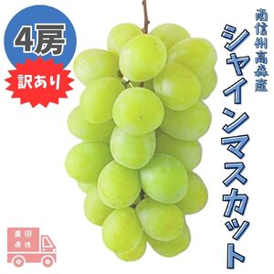 訳あり シャインマスカット 4キロ シャインマスカット 訳あり 家庭用 鳥取砂丘地産 1.4kg(350g×4パック