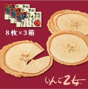 りんご乙女 8枚×3箱