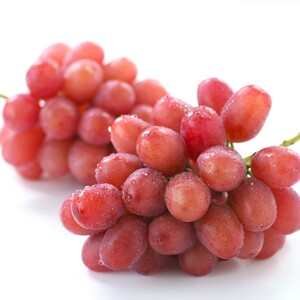 yYnI!z쌧YENC[[Wi2kgjGi10{蔭