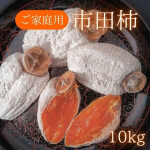 訳あり市田柿 10kg