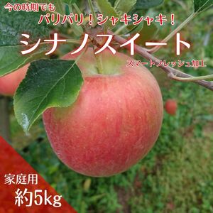 【アグリスタくましろ】シナノスイートSF　ご家庭用約5kg(12～20玉)
