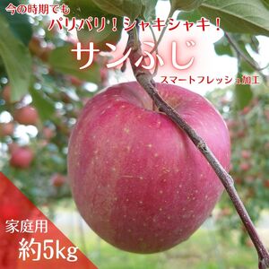 アグリスタくましろのサンふじSF　ご家庭用約5kg(12～20玉)