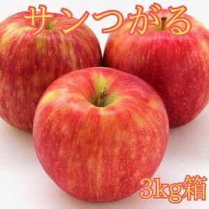 サンつがる 3kg箱[8月下旬より発送]