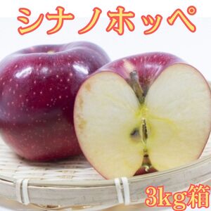 シナノホッペ 3kg箱 [10月下旬より発送]