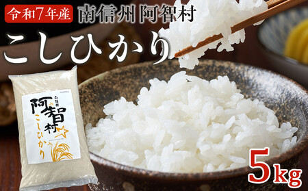 南信州 阿智村 米 令和7年産 コシヒカリ 5kg| コメ お米 令和7年 白米 精米 長野 南信州 ふるさと納税 コシヒカリ 阿智村 人気 おすすめ 送料無料 お取り寄せ ふるさと納税 米 ふるさと 長野