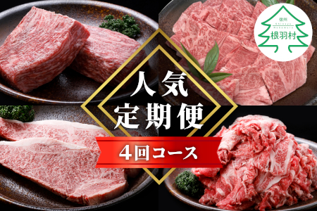 定期便 全4回★ 長野県根羽村 人気4品!定期便 切り落とし カタロース 焼肉 サーロインステーキ ロースステーキ ステーキ 限定 定期便 人気 4回