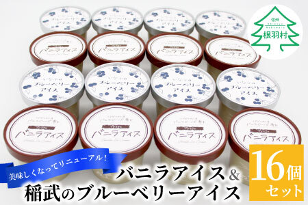 バニラビーンズ香る!バニラアイスクリーム&いなぶのブルーベリーアイス 16個セット 10000円 アイスクリーム ブルーベリー