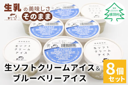 搾りたて生乳使用! 生ソフトクリームアイス&ブルーベリーアイス 8個セット アイスクリーム 5000円