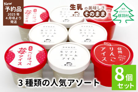 予約品★3種類の人気アソート 8個入り 80ml 100ml アイスクリーム りんご いちご 根羽村 5000円