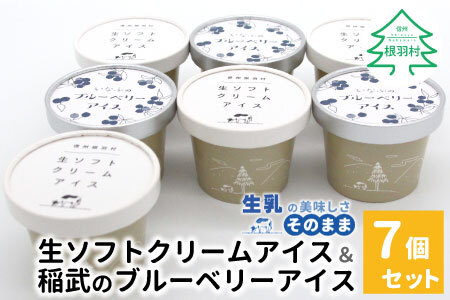 生ソフトクリーム&稲武のブルーベリーアイス 7個セット 5000円 アイスクリーム ソフトクリーム ブルーベリー