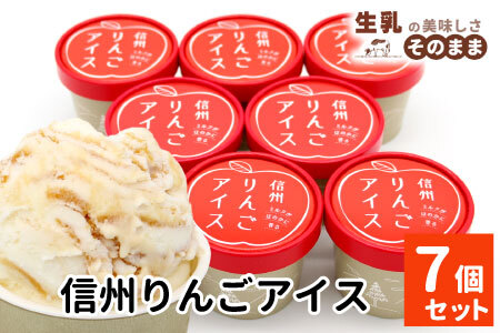 ★ふじりんごを丸ごと使用★信州りんごアイス 7個 マーブルアイス アイスクリーム アイス りんご ふじりんご りんごソース 5000円