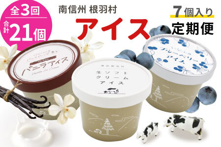 全3回[翌月から発送開始]3種類のアイス定期便☆ 南信州根羽村産アイス が毎月7個届く! 合計21個 アイス アイスクリーム 定期便 生ソフトクリームアイス バニラアイス ブルーベリー 果物 ジャム 長野県 根羽村 ソフトクリーム スイーツ