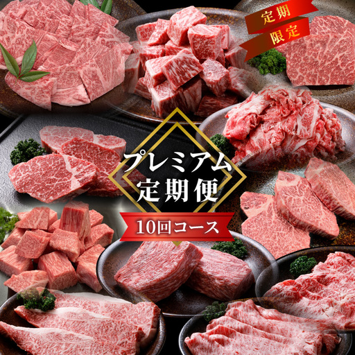 毎月限定3セット！全10回 国産 黒毛和牛★PREMIUM★定期便 シャトーブリアン 赤身ステーキ ステーキ 切り落とし カタロース 焼肉カタロース サーロインステーキ ロースステーキ ステーキ 限定 定期便 根羽村 ブランド牛