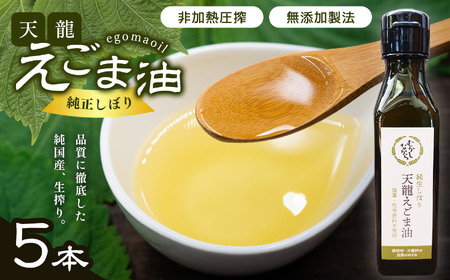 ʌ10ZbgIFVܖ5{ | NHi   ܖ  Ɖu̓Abv 쌧 MB V