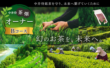 「未来の子供たちにこの美しい風景を残したい!」中井侍の茶畑オーナーBコース(5・11月)計2回お届け