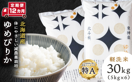 �y����� 12�J���z�y�ߘa7�N�Y�E�V�āz��߂҂肩 30kg