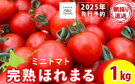 [2025年先行予約] [朝採れ最短発送!]完熟ほれまる ミニトマト1kg ミニトマト 朝採り 新鮮 生鮮 野菜 トマト 北海道ふるさと納税