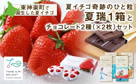 【2023年分予約】【夏イチゴ】夏瑞1箱とチョコレート2種（×2枚）セット