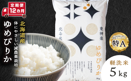 y 12zklĂ߂҂肩5kg i5kg×2܁j    ͂ uh Y kCY _y