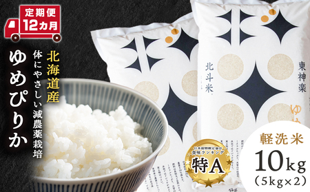 y12zklĂ߂҂肩10kgi5kg×2܁j    ͂ uh Y kCY _y