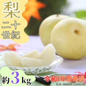 J33 [令和8年度発送先行予約品][南信州産]20世紀梨 太鼓判 約3kg 8玉〜10玉