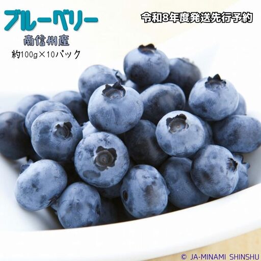J30[令和8年度発送先行予約品]ブルーベリー 秀3L 100gパック×10入り