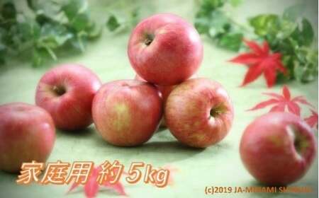 りんご サンつがる[ご家庭用][16〜20玉]