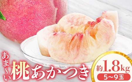 アグリスタくましろのあまーい桃『あかつき』約1.8kg [2026年7月中旬〜7月下旬発送予定]