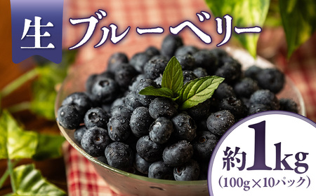 A-118�@���u���[�x���[ ��1kg�i100g×10�p�b�N�j��2026�N�����@��s�\��