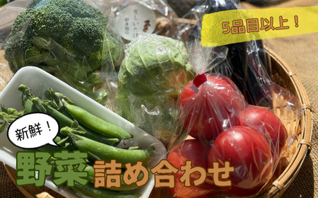 A-133[5品目以上]季節の野菜詰め合わせ