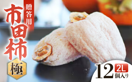 A-110@MB̓Yiusc`EɁvp2LTCYi12j2026N1{`2{