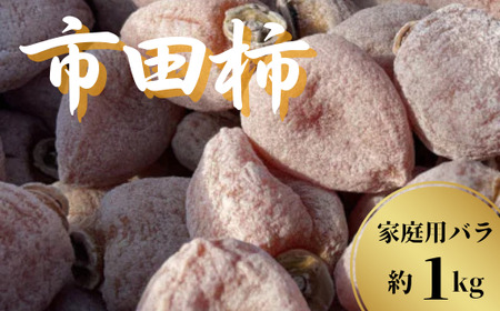 y2026N1z_ƒIsc`@ƒp1kg