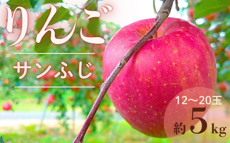 �y�ƒ�p�z��� �T���ӂ� ��5kg�y2026�N2��{�`4�����{�����\��z�X�}�[�g�t���b�V���b �ь�b�����S�b12�`20�ʁb�t���[�c�b�ʕ��b���쌧�b��M�B�b�L�u��