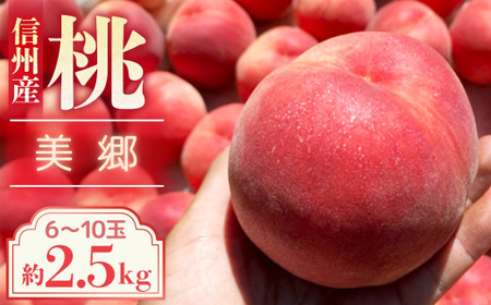 [2026年発送先行予約]桃 美郷 約2.5kg[6〜10玉]農家直送 もも
