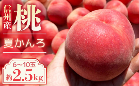 [2026年発送先行予約]桃 夏かんろ 約2.5kg[6〜10玉]農家直送 もも