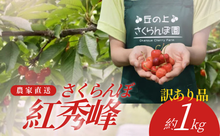 �y2026�N������s�\��z�������ځ@�g�G��@�󂠂�1kg�o���l��