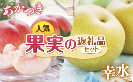 [2026年発送先行予約]南信州産 定期便2回送り 人気果実の返礼品セット 各5kg [桃 あかつき][梨 幸水]
