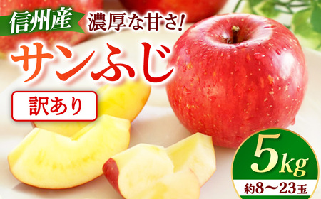 [先行予約]※訳あり※ りんご サンふじ 約5kg [2027年1月上旬〜2月上旬発送予定] リンゴ|長野県産|果物|くだもの