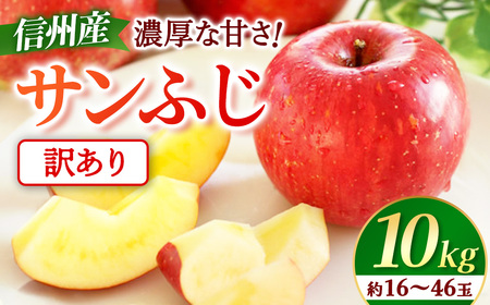 [先行予約]※訳あり※ りんご サンふじ 約10kg [2027年1月上旬〜2月上旬発送予定] リンゴ|長野県産|果物|くだもの