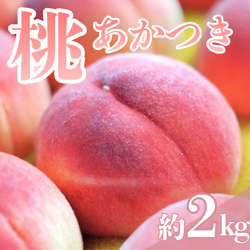 [2026年7月下旬発送]もも あかつき 約2kg 桃|モモ|果物|フルーツ|長野県産|南信州|豊丘村