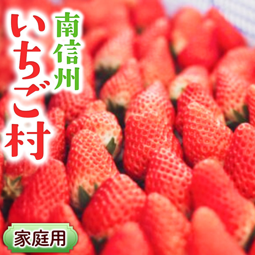[2027年1月〜発送開始]ご家庭用いちご 約600g(2パック) 苺|イチゴ|フルーツ|果物|南信州いちご村|長野県