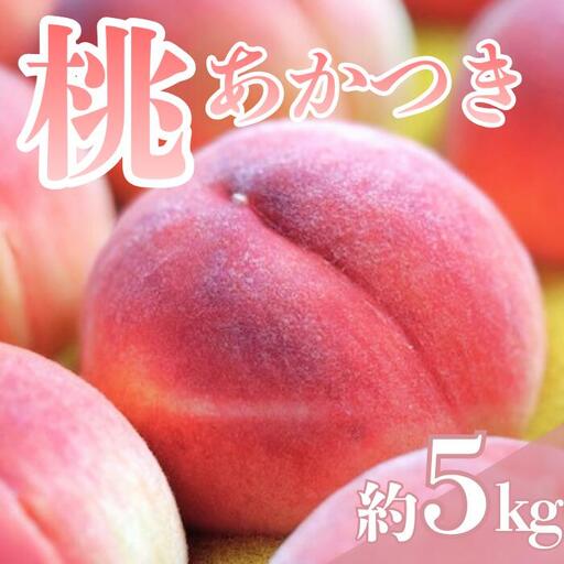 【2026年7月下旬発送】もも　あかつき　約5kg　　桃｜モモ｜果物｜フルーツ｜長野県産｜南信州｜豊丘村