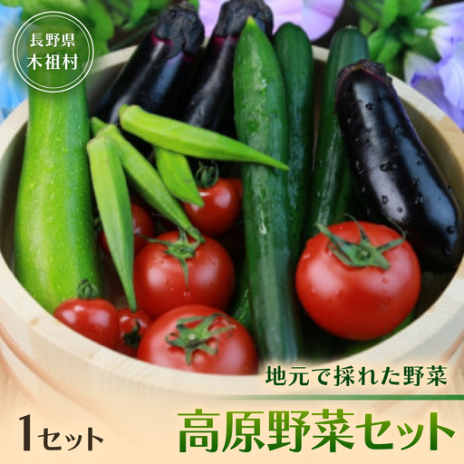 【地元で採れた野菜】源気屋　高原野菜セット【配送不可地域：離島・北海道・沖縄県】【1507579】