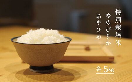 特別栽培米 ゆめぴりか あやひめ 食べ比べ 10kg 北海道当麻町 当麻グリーンライフ 低農薬 減農薬