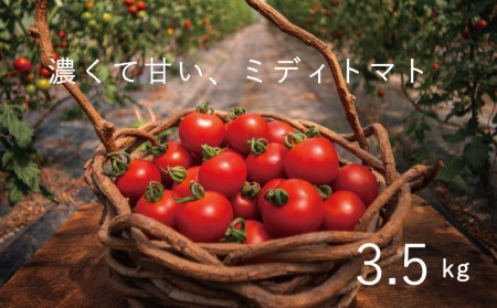 [2024年産予約受付]トマト とまと 甘い のんの畑北海道ミディトマト3.5kg 3.5kg 不耕起栽培 無化学農薬 無化学肥料 のんの 産地直送 北海道 当麻町