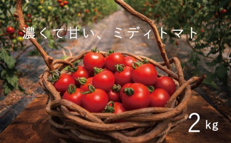 [2024年産予約受付]フルーツトマト トマト 甘い のんの畑北海道ミディトマト2kg 2kg 不耕起栽培 無化学農薬 無化学肥料 野菜 産地直送 北海道 当麻町 とまと おやつ